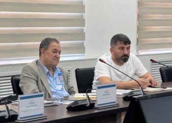 Түркістанда түрік инвесторларымен жылыжай жобалары талқыланды