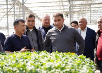 В ТУРКЕСТАНСКОЙ ОБЛАСТИ ВНЕДРЯЮТСЯ ЭКОЛОГИЧЕСКИ ЭФФЕКТИВНЫЕ СПОСОБЫ ОТОПЛЕНИЯ ТЕПЛИЦ