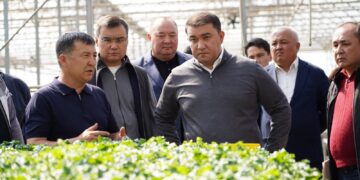 В ТУРКЕСТАНСКОЙ ОБЛАСТИ ВНЕДРЯЮТСЯ ЭКОЛОГИЧЕСКИ ЭФФЕКТИВНЫЕ СПОСОБЫ ОТОПЛЕНИЯ ТЕПЛИЦ