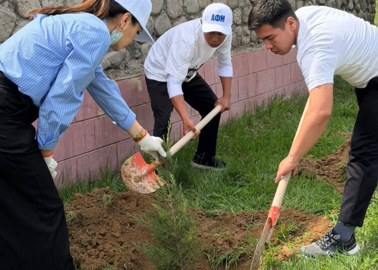 В ТУРКЕСТАНСКОЙ ОБЛАСТИ В РАМКАХ ПРОЕКТА «ТАЗА ҚАЗАҚСТАН» ПРОВЕДЕНЫ РАБОТЫ ПО ОЗЕЛЕНЕНИЮ