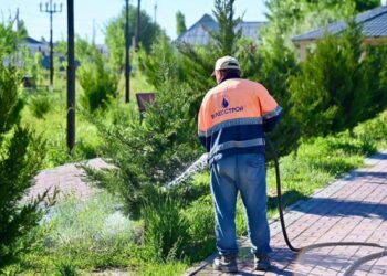 СОЗАҚ АУДАНЫНДА КӨГАЛДАНДЫРУ ЖӘНЕ АБАТТАНДЫРУ ЖҰМЫСТАРЫ ҚАРҚЫНДЫ ЖҮРІП ЖАТЫР