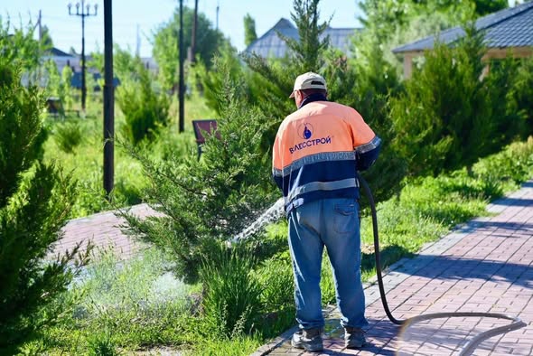 СОЗАҚ АУДАНЫНДА КӨГАЛДАНДЫРУ ЖӘНЕ АБАТТАНДЫРУ ЖҰМЫСТАРЫ ҚАРҚЫНДЫ ЖҮРІП ЖАТЫР
