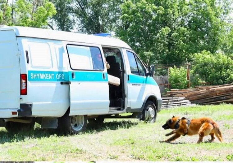 ХАЛЫҚАРАЛЫҚ НАШАҚОРЛЫҚҚА ҚАРСЫ КҮРЕС КҮНІНЕ ОРАЙ ТАНЫМДЫҚ ЭКСКУРСИЯ ҰЙЫМДАСТЫРЫЛДЫ