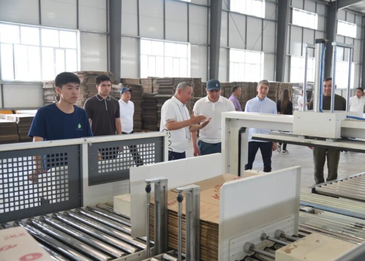 МАКУЛАТУРАНЫ ҚАЙТА ӨҢДЕУ ЖӘНЕ КАРТОН ҚАПТАМА ӨНДІРЕТІН ЗАУЫТ АШЫЛДЫ