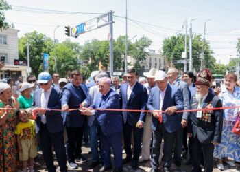 В ШЫМКЕНТЕ КО ДНЮ ГОРОДА ОТКРЫЛИ ЯПОНСКИЙ ПАРК МЕЖДУНАРОДНОГО УРОВНЯ