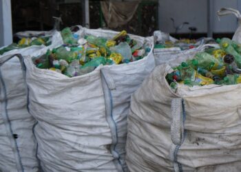 ТҮРКІСТАН: КЕНТАУДАҒЫ КӘСІПОРЫН ПЛАСТИК ҚАЛДЫҚТАРДЫ ӨҢДЕП, ЭКСПОРТҚА ШЫҒАРЫП ОТЫР