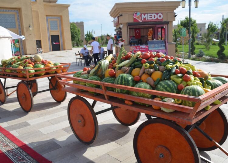 ТҮРКІСТАН ТӨРІНДЕ ШАҒАЛАЛЫ ШАРДАРАНЫҢ МӘДЕНИ КҮНІ ЖОҒАРЫ ДЕҢГЕЙДЕ ӨТТІ