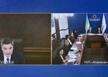 Совет отечественных предпринимателей при Правительстве РК перешел на новый формат работы