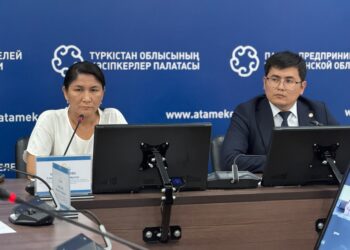Түркістанда кәсіпкерлерге жаңа Салық кодексі түсіндіріліп, BusinessGO цифрлық экожүйесі таныстырылды