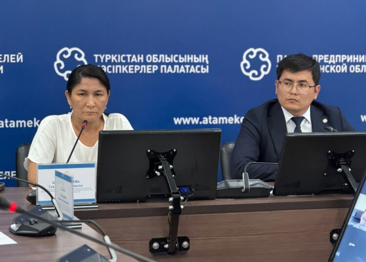 Түркістанда кәсіпкерлерге жаңа Салық кодексі түсіндіріліп, BusinessGO цифрлық экожүйесі таныстырылды