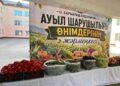 ҚҰРЫЛТАЙ: САЯСИ НАУҚАНҒА ОРАЙ ӨҢІР ТҰРҒЫНДАРЫ ҮШІН АРНАЙЫ ЖӘРМЕҢКЕЛЕР ҰЙЫМДАСТЫРЫЛДЫ