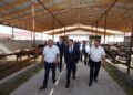 ТҮРКІСТАН ОБЛЫСЫНДА ЕЛІМІЗДЕ ТЕҢДЕСІ ЖОҚ МАЛ БОРДАҚЫЛАУ КЕШЕНІ САЛЫНЫП ЖАТЫР
