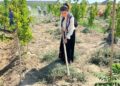 «Таза Қазақстан» республикалық экологиялық акциясы аясында