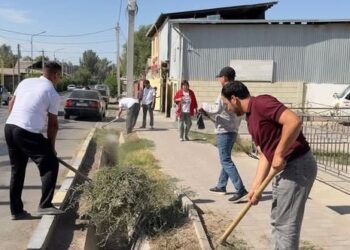 КЕЛЕС АУДАНЫНДА СЕНБІЛІК ЖҰМЫСТАРЫ ЖҮРГІЗІЛДІ
