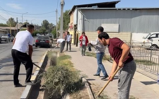 КЕЛЕС АУДАНЫНДА СЕНБІЛІК ЖҰМЫСТАРЫ ЖҮРГІЗІЛДІ