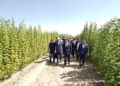 ТҮРКІСТАН ОБЛЫСЫНДА ЖАҢА ТӘСІЛ АРҚЫЛЫ ТҰЗДЫ ТОПЫРАҚТАҒЫ КӨШЕТТЕРДІҢ ӨНІМДІЛІГІ 90 ПАЙЫЗҒА ЖЕТТІ
