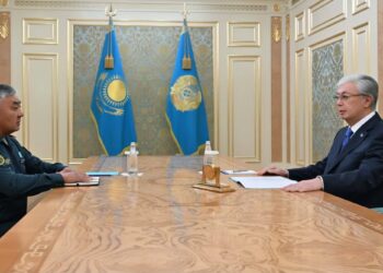 Глава государства принял министра обороны Айдоса Мырзахметова