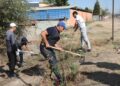 ТАЗА ҚАЗАҚСТАН: САРЫАҒАШ АУДАНЫНДА АУҚЫМДЫ СЕНБІЛІК ӨТТІ