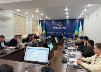 Түркістандық кәсіпкерлерге Германия сарапшыларының тәжірибесін пайдалану мүмкіндігі таныстырылды